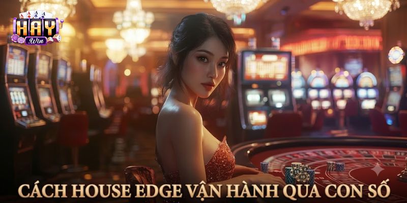 House Edge là gì qua RTP và kỳ vọng dài hạn